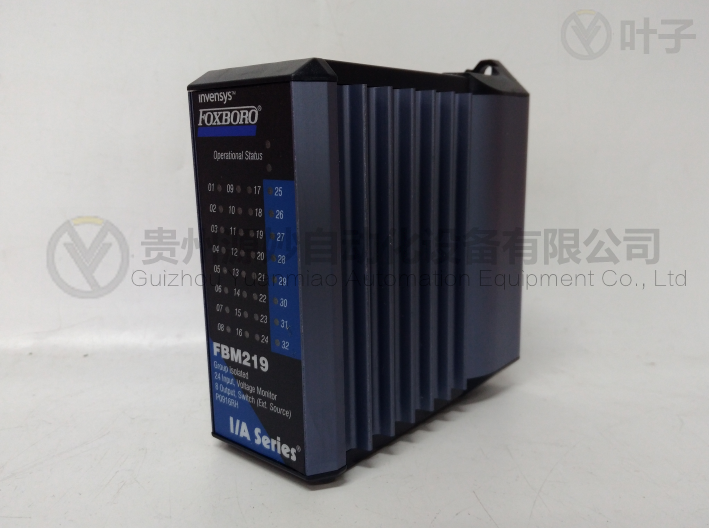 福克斯波羅 FBM219 P0916RH.png