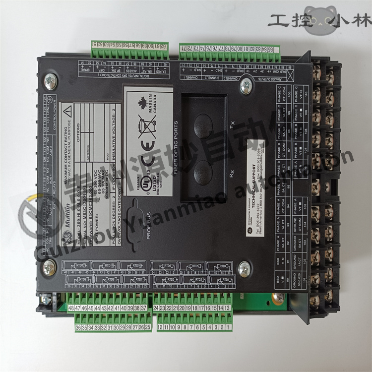 369-HI-0-M-0-0-0-E (1).jpg