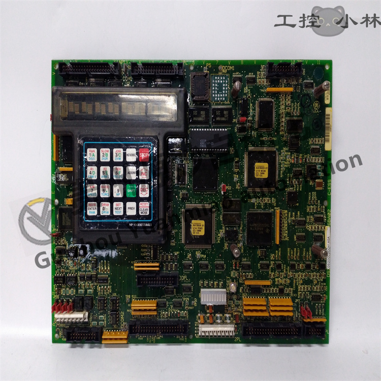 DS200LDCCH1AGA (1).jpg